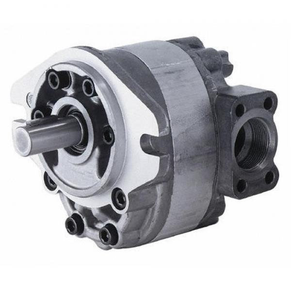 Parker piston pump PV62R1EC00 PV62R1EC02 PV62R1EC00BP PV62 hydraulic pump #1 image