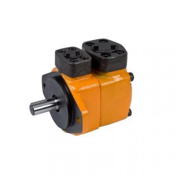 Lisheng hydraulic pump bobcat and motor price cylinder Exporter #1 image
