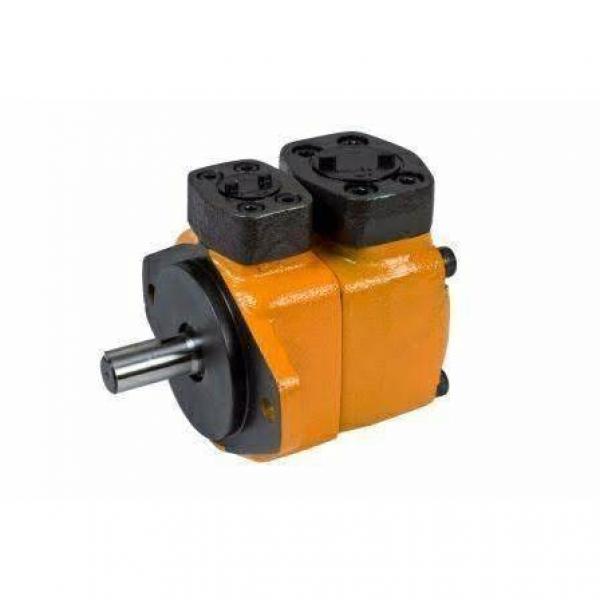 Jazzi Hot Selling H-series Hot Electric Water Pump #1 image