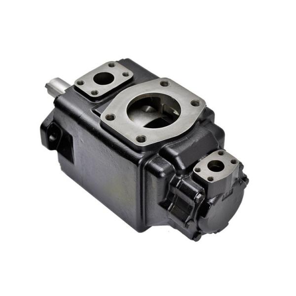 Replacement of Denison T6 Series T6CCM (T6CC) Double Vane Pump in Stock China Supplier #1 image