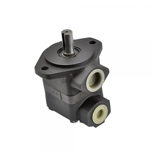 Replacement or Cartridge Kits for Denison Vane Pump T6c #1 image