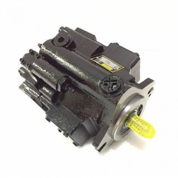 Parker Hydraulic Piston Pumps Pvp100 Pvp16/23/33/41/48/60/76/100/140 with Warranty and Good Quality #1 image